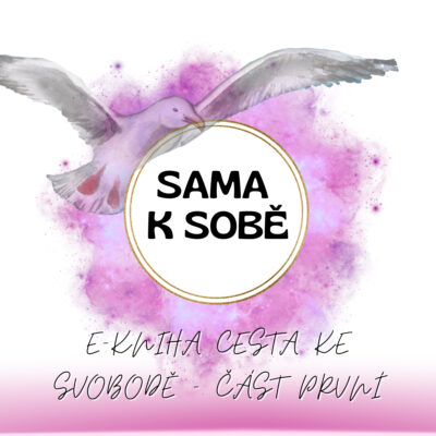 E-kniha Sama k sobě Jñāna-vāhana