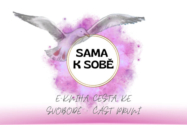 E-kniha Sama k sobě Jñāna-vāhana