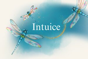 Intuice – Tvá ženská síla