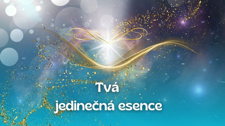 16.Tvá jedinečná esence