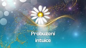 7.Probuzení intuice